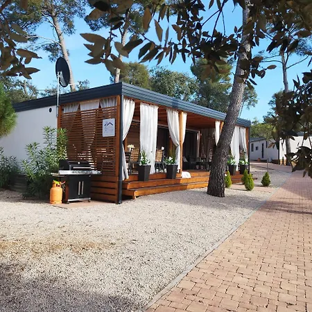 Mobile Nika & Monika 캠프장 *