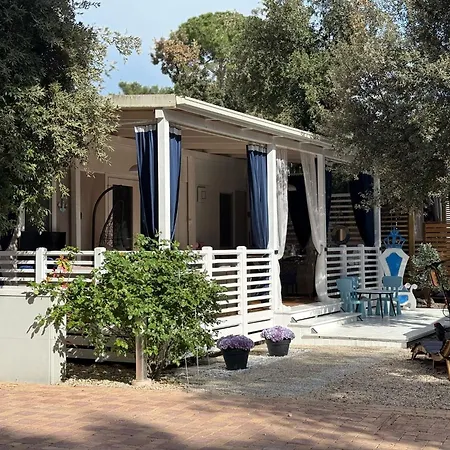 Mobile Nika & Monika 캠프장